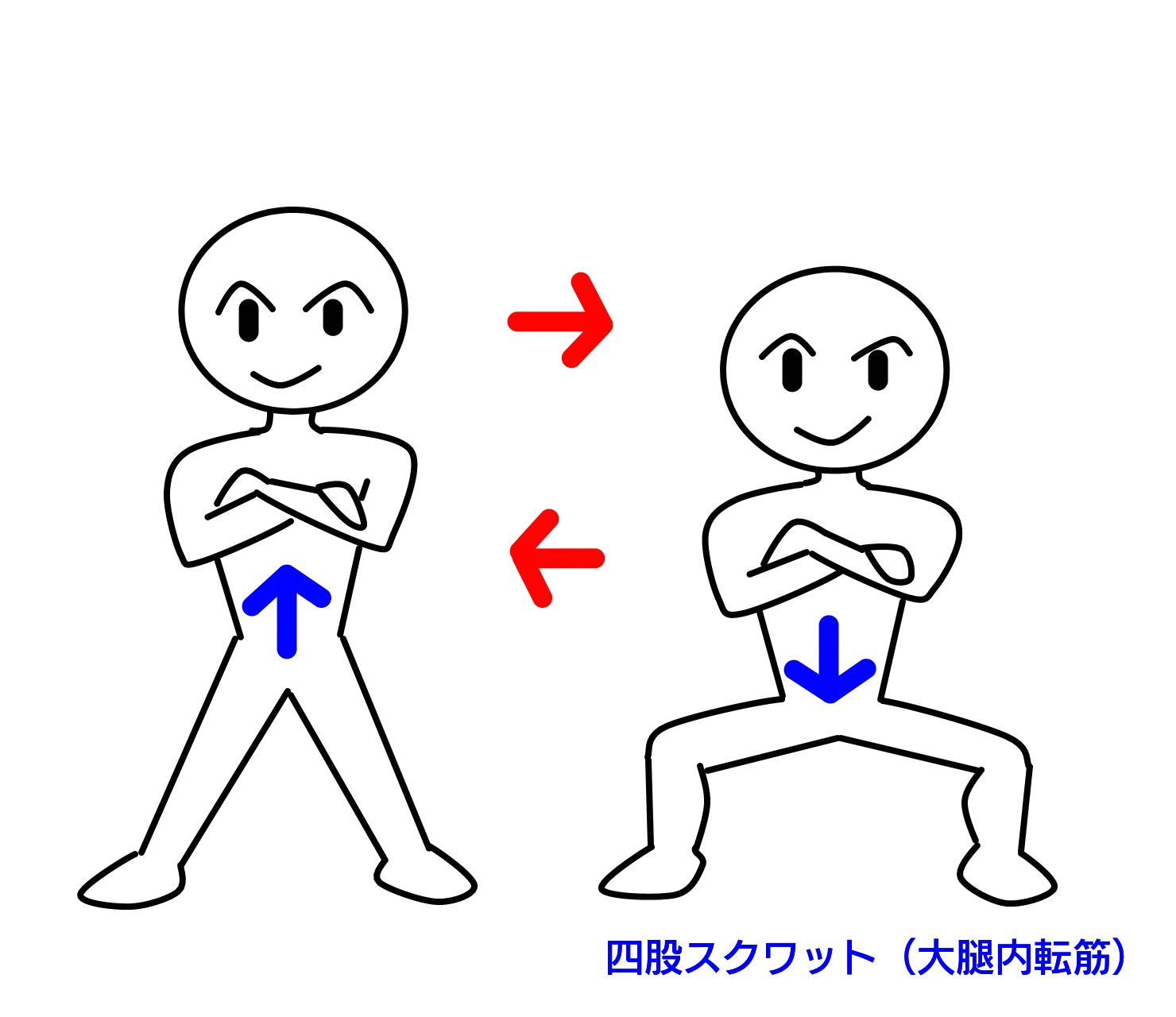 四股スクワット（大腿内転筋）